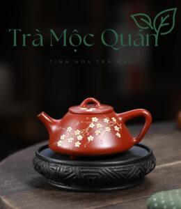 Ấm Thạch Biều Đại Hồng Bào Vẽ Hoa Mai ATS2