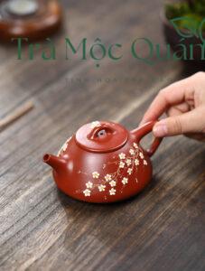 Ấm Thạch Biều Đại Hồng Bào Vẽ Hoa Mai ATS2