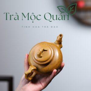 Ấm Tử Sa Báo Xuân Đoạn Nê Nung Củi ATS11