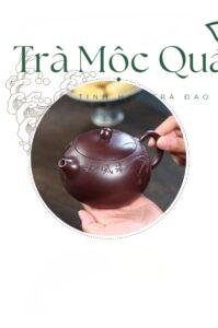 Ấm Tử Sa Nghi Hưng Tây Thi Tử Nê ATS13