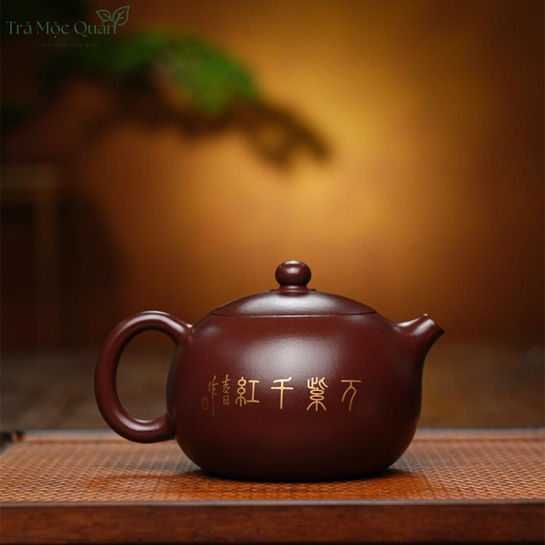 Ấm tử sa Tây Thi Chim Bói Cá Tử Nê ATS21