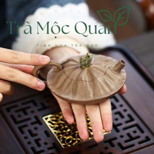 Ấm Tử Sa Thanh Oa Đất Thanh Đoạn Nê ATS40