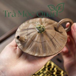 Ấm Tử Sa Thanh Oa Đất Thanh Đoạn Nê ATS40