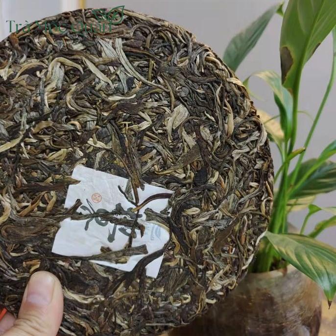 Bánh Trà Phổ Nhĩ Sống Mãnh Hải Vân Nam 357g Sản Xuất 26/4/2019 PN58