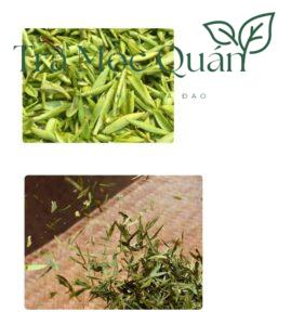 Trà Long Tỉnh Minh Tiền Vụ Xuân LT41