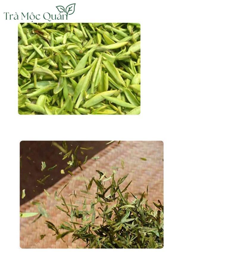 Trà Long Tỉnh Minh Tiền Vụ Xuân LT41