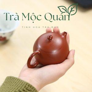 Ấm Tử Sa Độc Ẩm Tây Thi Chu Nê Nguyên Khoáng ATS38