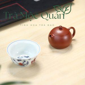 Ấm Tử Sa Độc Ẩm Tây Thi Chu Nê Nguyên Khoáng ATS38