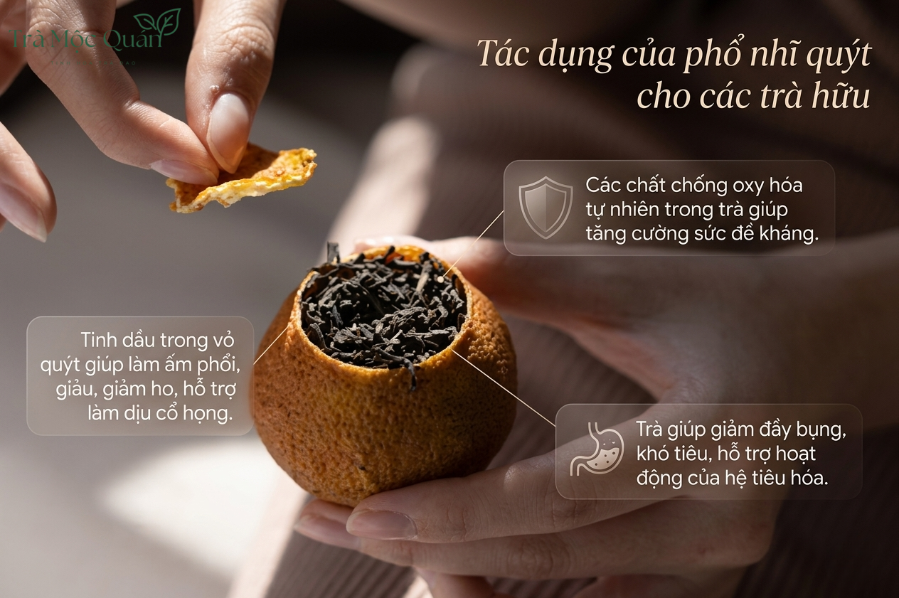 Trà phổ nhĩ quýt