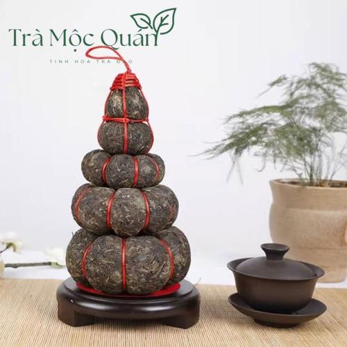 Trà Phổ Nhĩ Sống Kim Qua Cống Trà Kim Tháp Cát Tường – 1kg PN69