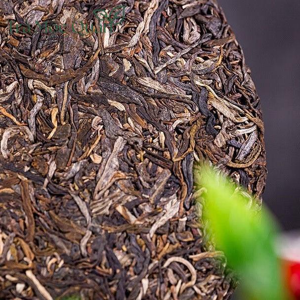 Trà Phổ Nhĩ Sống Trung Trà (Zhongcha) 7741 Bản Chuẩn Vị Lâm Thương 2024 – Bánh 357g PN76
