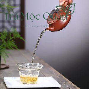 Ấm Tử Sa Biển Cổ Tùng Mai Đại Hồng Bào 300ml ATS75