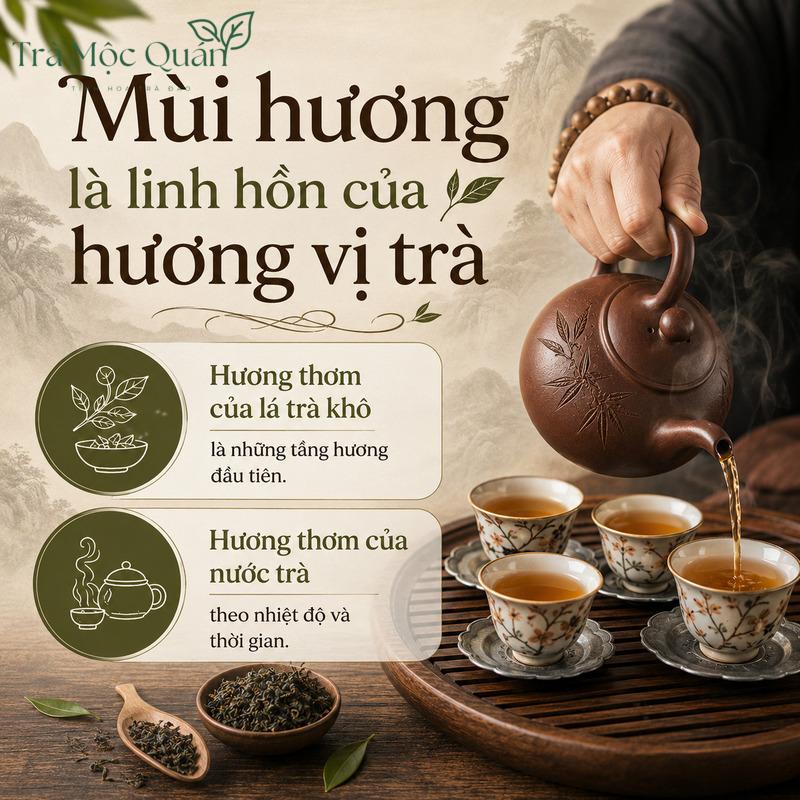 hương vị trà
