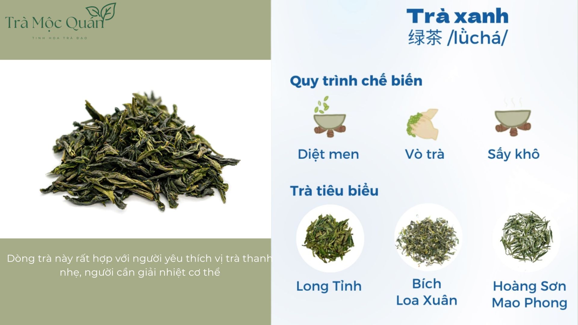 phân biệt các loại trà