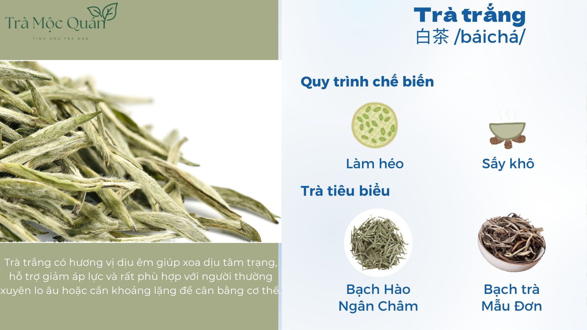 phân biệt các loại trà
