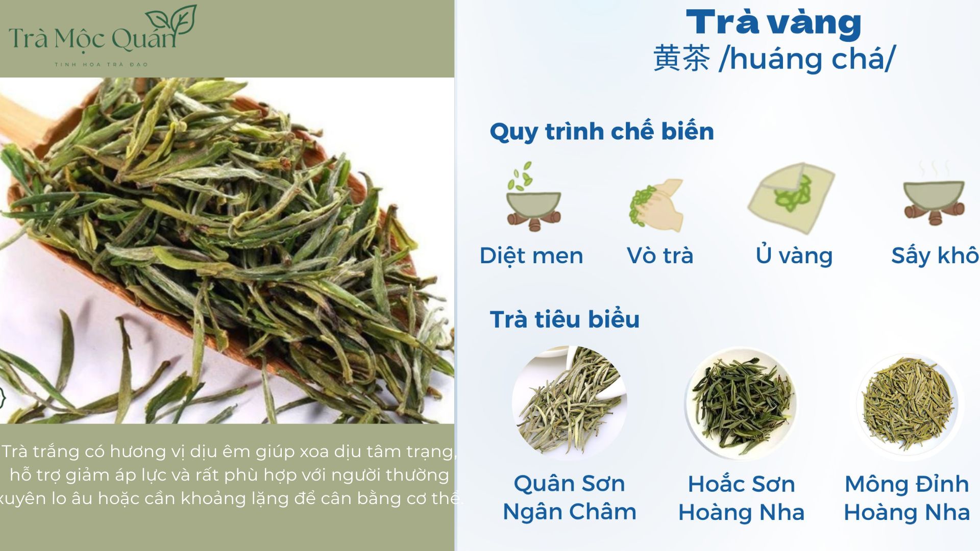 phân biệt các loại trà