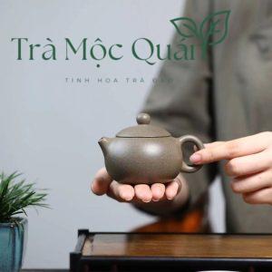 Ấm Tử Sa Tây Thi Đoạn Nê Độc Ẩm Mini 120ml ATS60