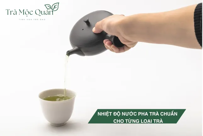 nhiệt độ nước pha trà
