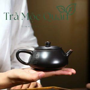 Ấm Trà Nê Hưng Khâm Châu Thạch Biều 250ml ATS93