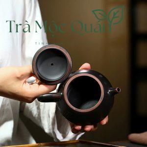 Ấm Trà Nê Hưng Khâm Châu Thạch Biều 250ml ATS93