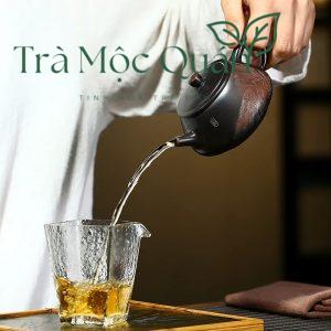 Ấm Trà Nê Hưng Khâm Châu Thạch Biều 250ml ATS93
